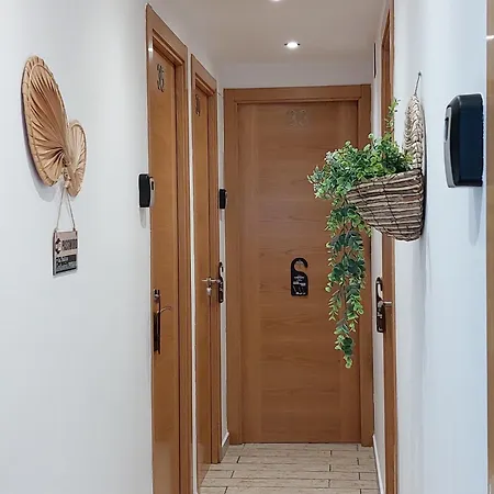 Cabezas لوغونيس